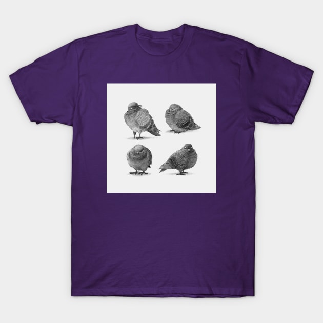 Pirate Pigeons T-Shirt by Terry Fan